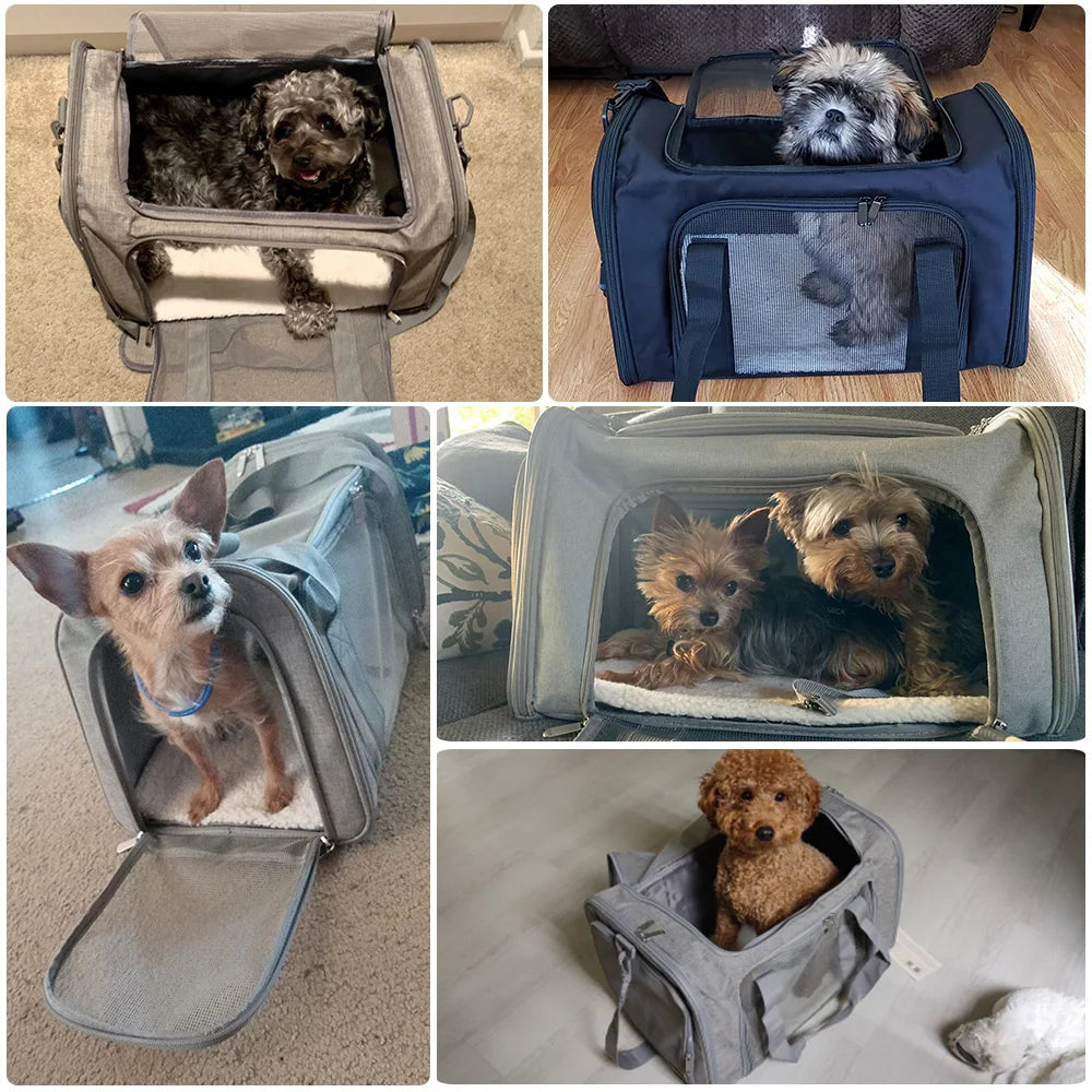 Soft Side Pet Carriers Airline Approved